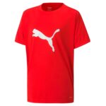 Puma ftblPLAY Logo T-shirts Rød Børn