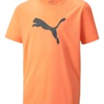 Puma IndividualRISE T-shirt Orange Børn