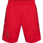 DBU Home Fodboldshorts Rød Herre