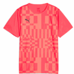 Puma IndividualRISE Graphic T-shirt Pink-Rød Børn
